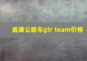 威廉公路车gtr team价格